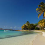 Paradise beach with palm tree on Mauritius Island