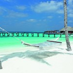halaveli-maldives-beach-view-15 copia