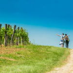 Istria Wine & Walk – Istria