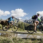 biketour b – Alpenschlossl & Linderhof