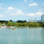 (C)TCVB_Ueno Park (Shinobazu Pond) 04_low