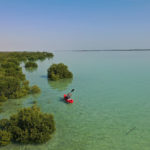 Qatar Tourism_Mangroves kayaking 1