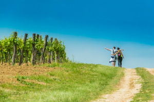 Istria Wine & Walk - Istria
